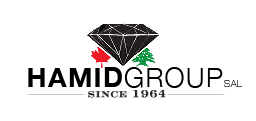 Hamid Group Logo